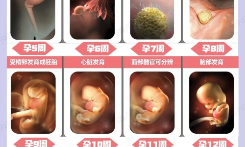 怀孕脸上会长痘痘吗-怀孕脸上起痘怎么回事怎么办网 :分享怀孕脸上为什么会长斑-怀孕脸上长斑怎么回事知识